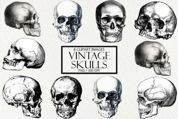 Download Vintage Skulls Clipart - Vintage Collection